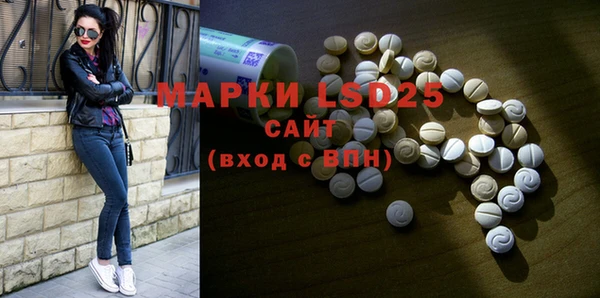 мдпв Богданович