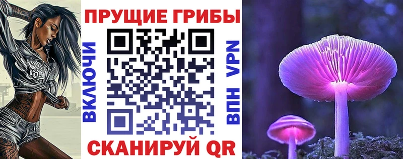 Псилоцибиновые грибы мицелий  Вязники 