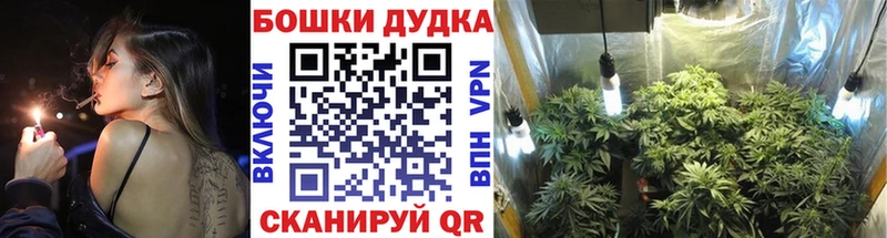 Бошки Шишки семена  Вязники 
